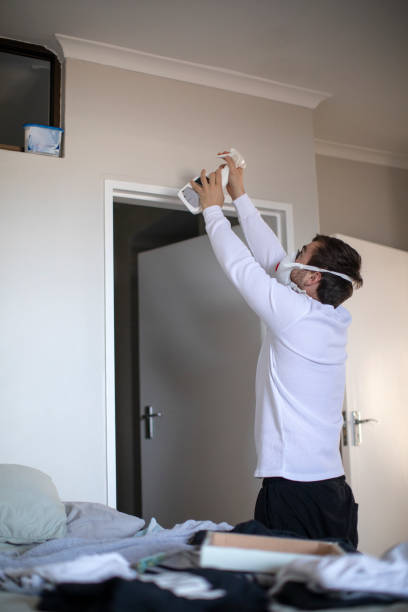 Best Mold Documentation for Insurance Claims  in Malta, IL