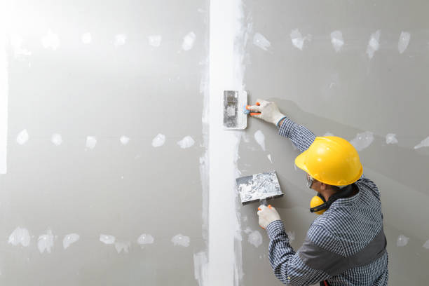 Best Air Quality Testing for Mold Spores  in Malta, IL