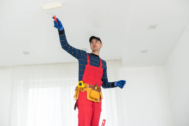 Forensic Mold Investigation in Malta, IL